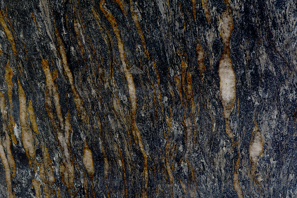 Metalicus leather